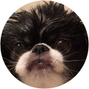 Mike Miller profile picture